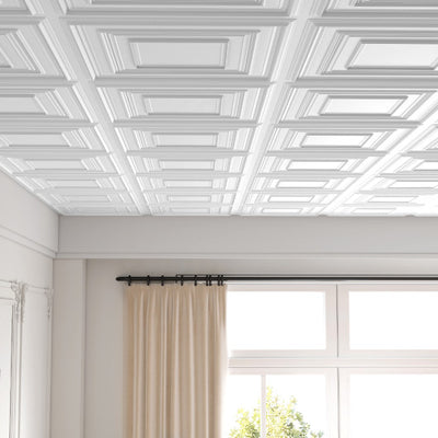 Drop Ceiling Tiles 24