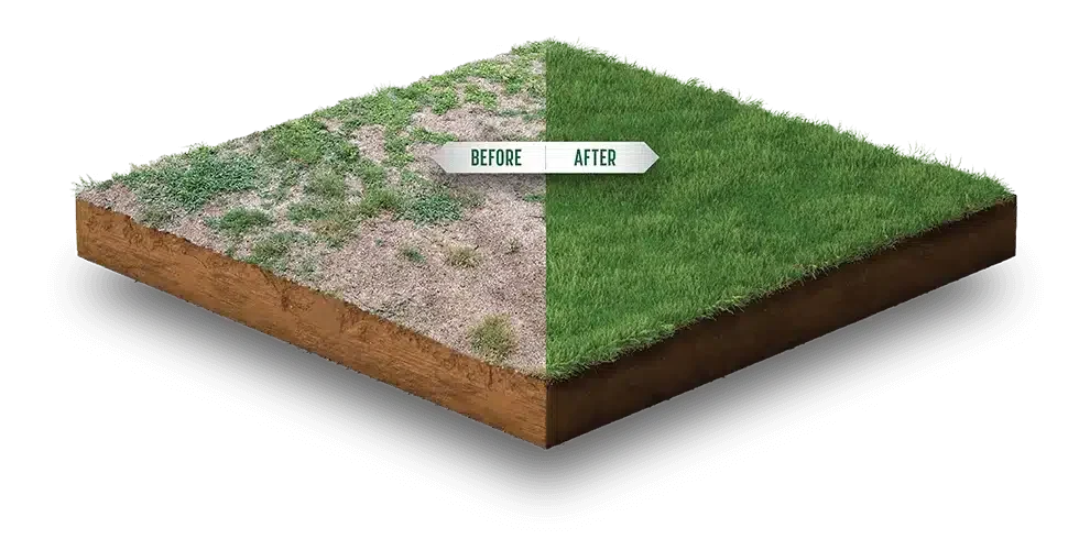 Shieldscape Hybrid Turf