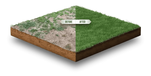 Shieldscape Hybrid Turf
