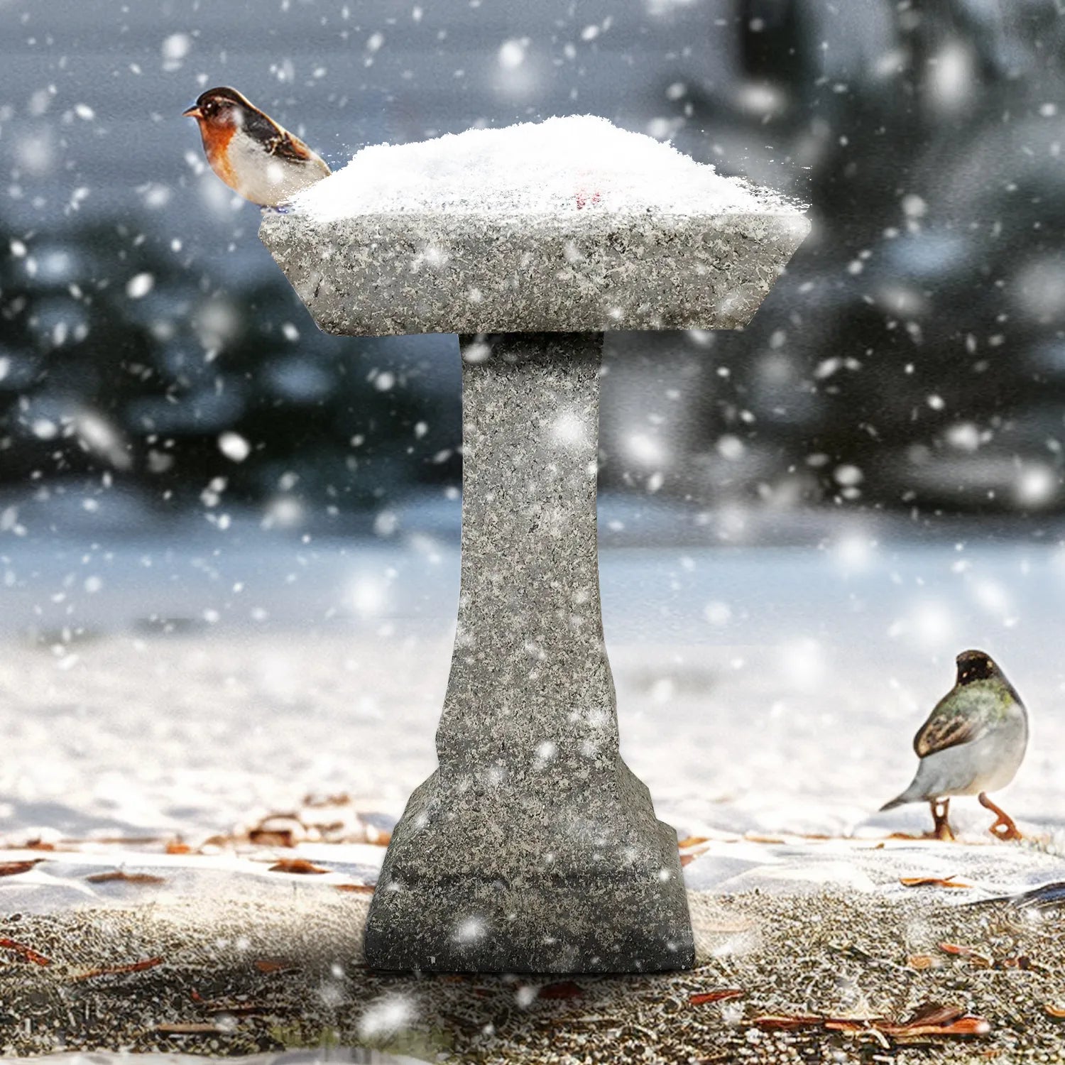 Concrete Garden Bird Bath Square Pedestal 22 Inch