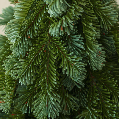 New desktop Novelson Christmas tree encrypted mini simulation tree home atmosphere desktop decoration