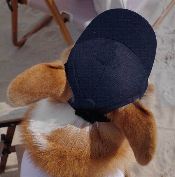 Pet Dog Outdoor Photography Leisure Sunshade Hat with Ear Holes Adjustable Corgi Baseball Cap