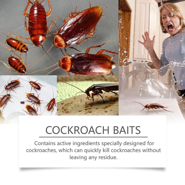 Cockroach Bait, Cockroach Home Type Effective Cockroach Kill Kitchen Cockroach Paste Cockroach Kill Glue Bait