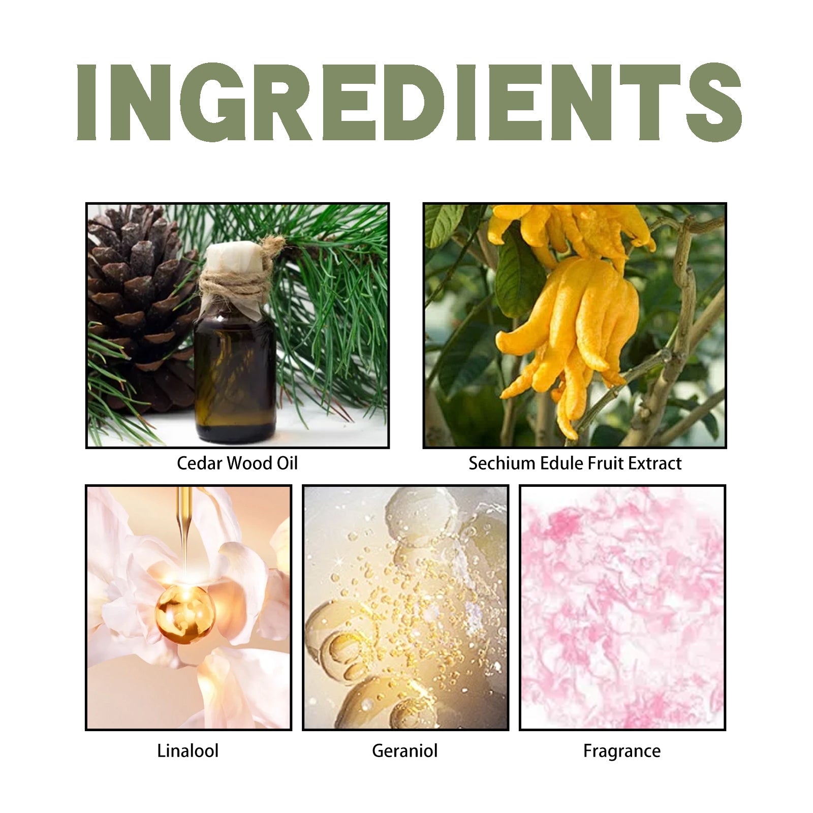 Bergamot Cedarwood Scent Experience Perfume, Fresh Wood Scent Lasting Fragrance Naturally Not Pungent Niche Perfume