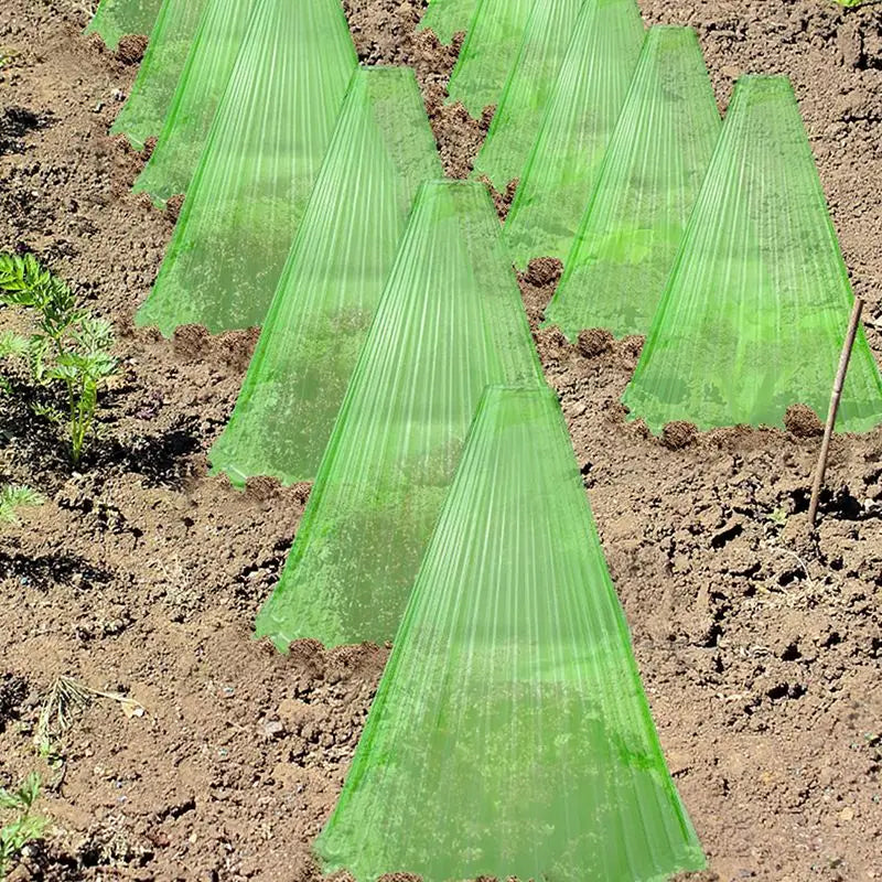 30 Reusable Square Planting Tents. Protect plants from birds, frost & snails.