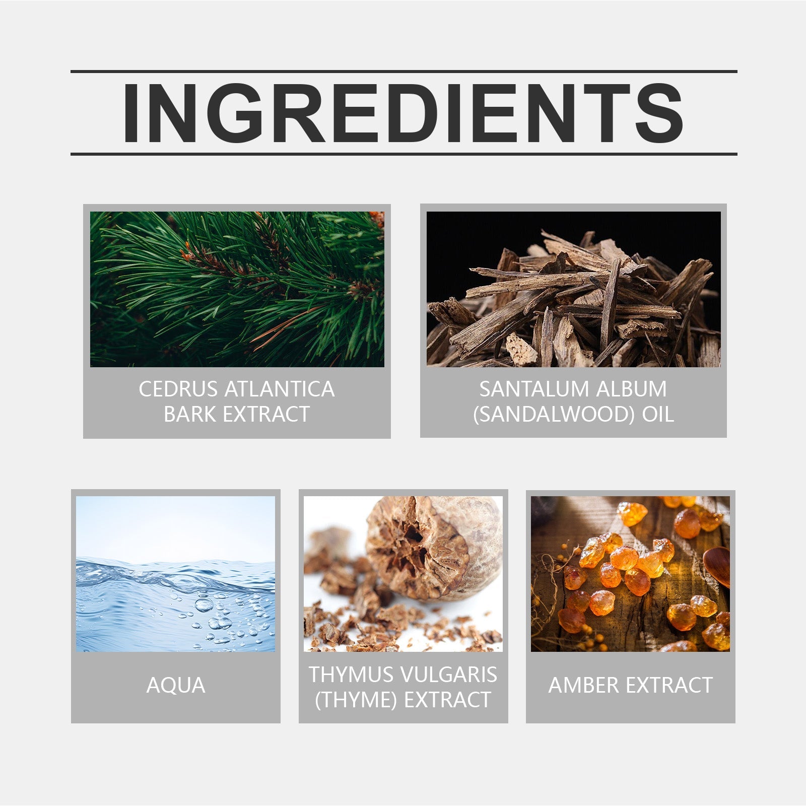 Eau De Toilette, Warm Wood Scent Charming Floral Fragrance Fresh Natural Fragrance Fragrance Lasting Fragrance