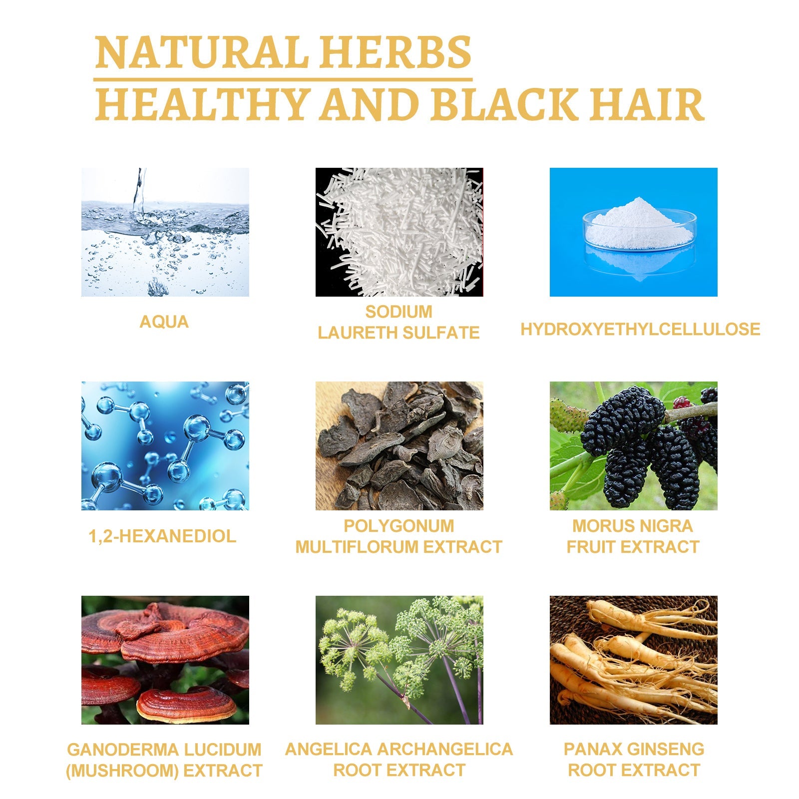 Black Ganoderma Lucidum White Black Black Hair Nourishing Hair Nourishing Hair Moisturizing Hair Repair Massage Essence