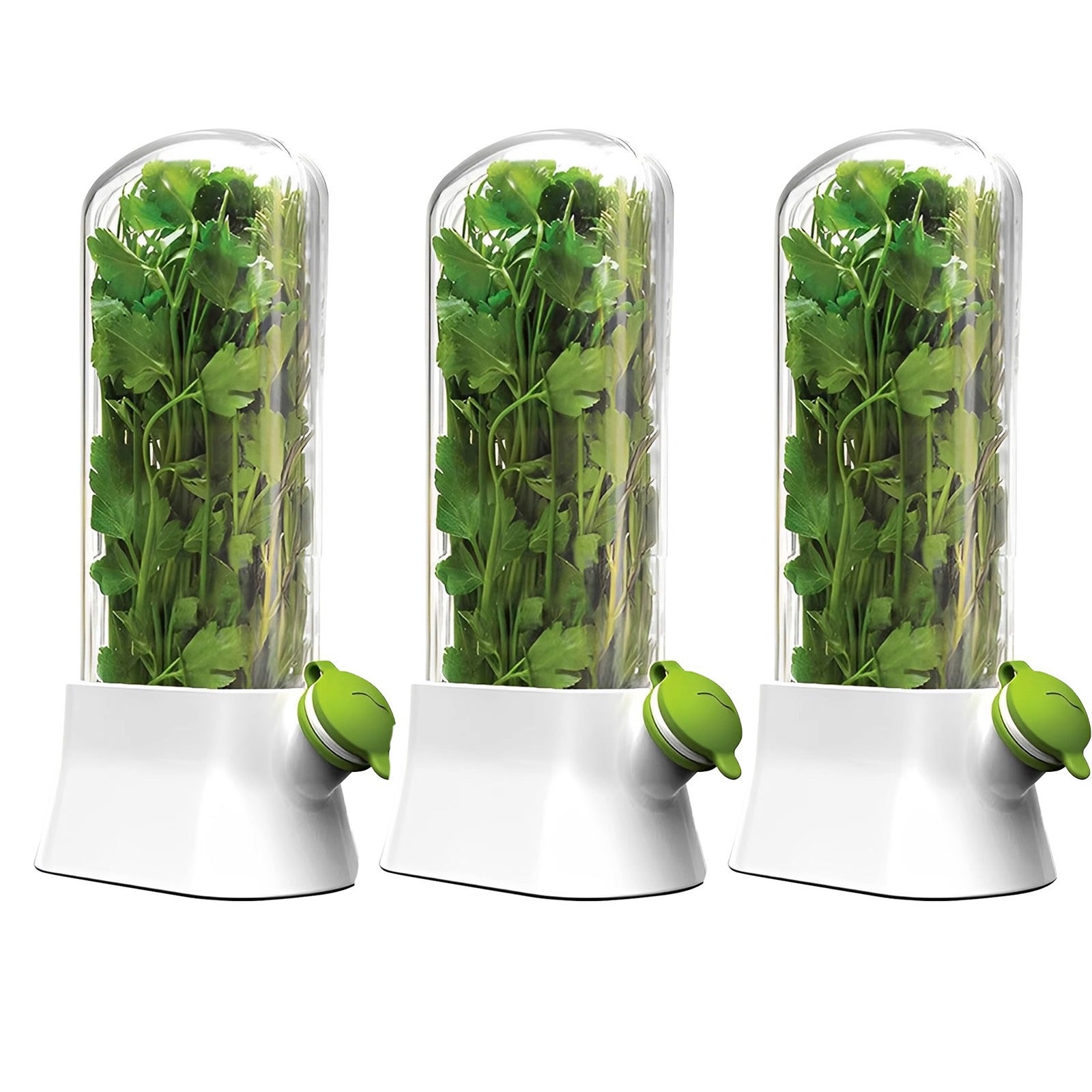 Vanilla vegetable fresh-keeping box pressure resistant fresh-keeping device creative fresh-keeping cup