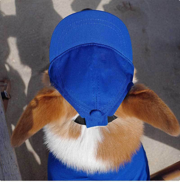 Pet Dog Outdoor Photography Leisure Sunshade Hat with Ear Holes Adjustable Corgi Baseball Cap