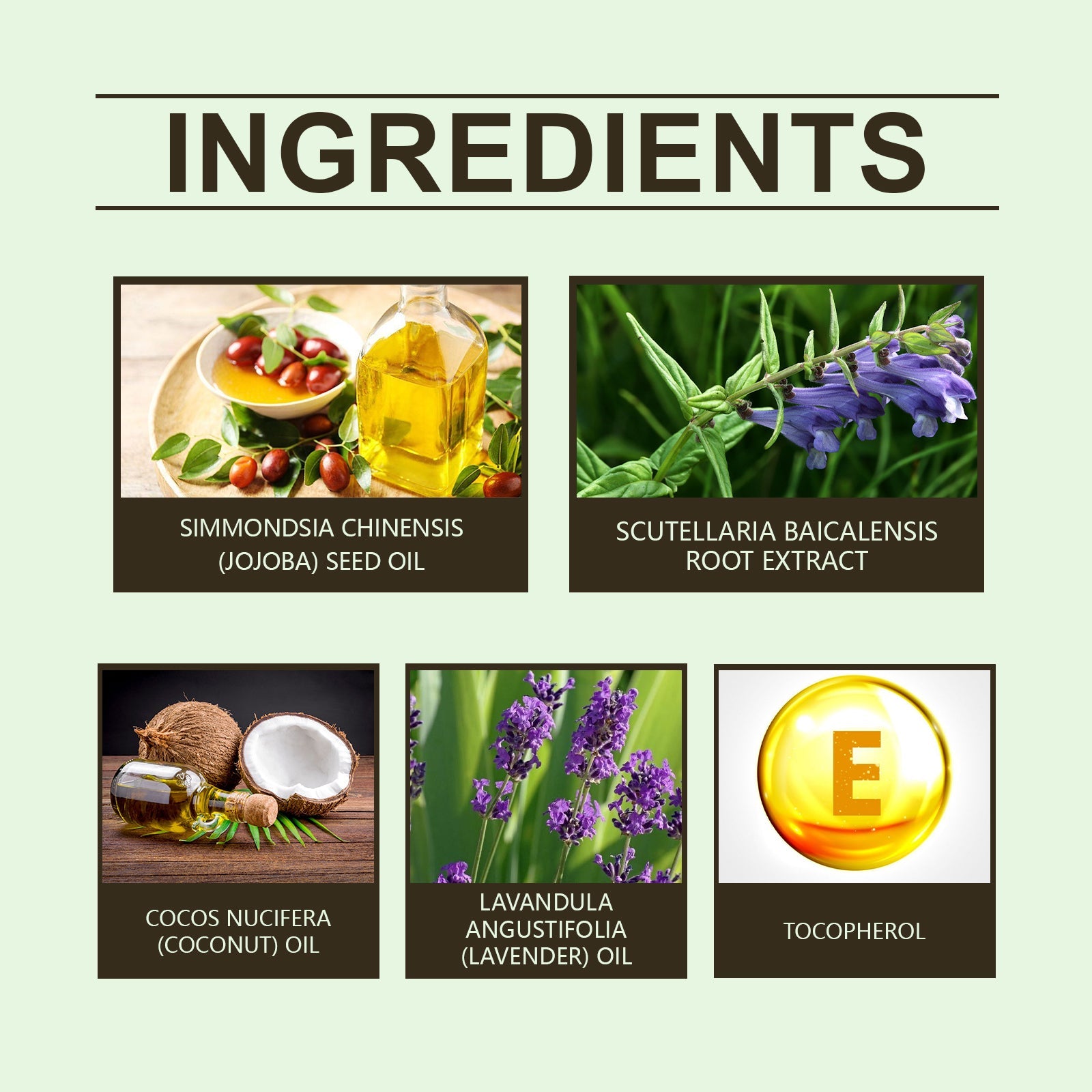 Scutellaria Sleep Essential Oil Eases Sleep, Relaxes And Comforts Portable Skin And Body Care Essential Oil