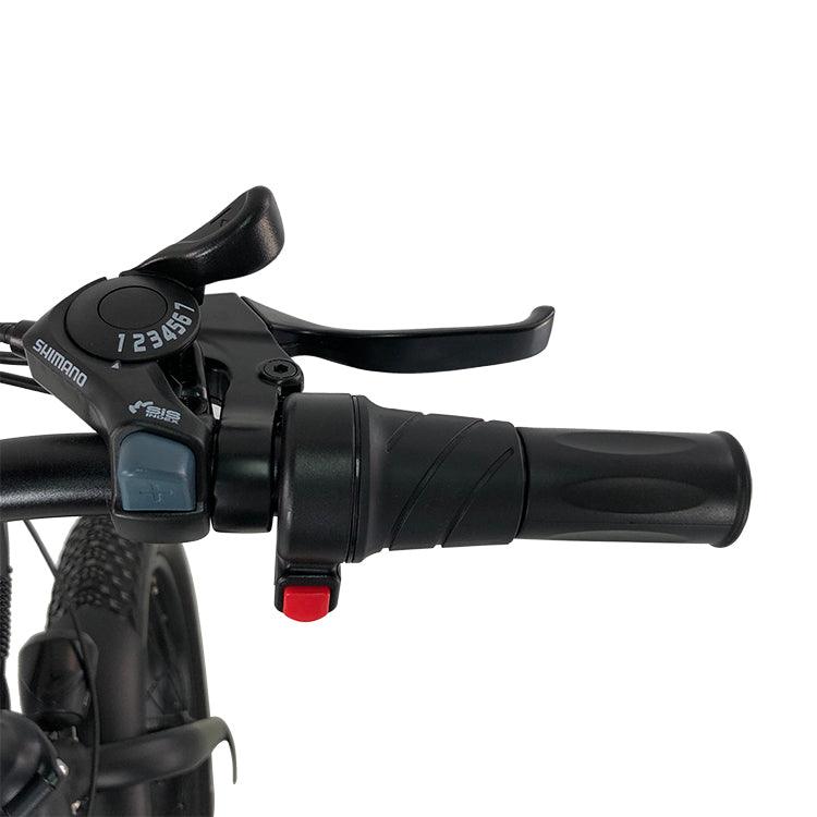 GlareWheel NEW EB-RE Folding Electric Bike 20'' Fat Tire