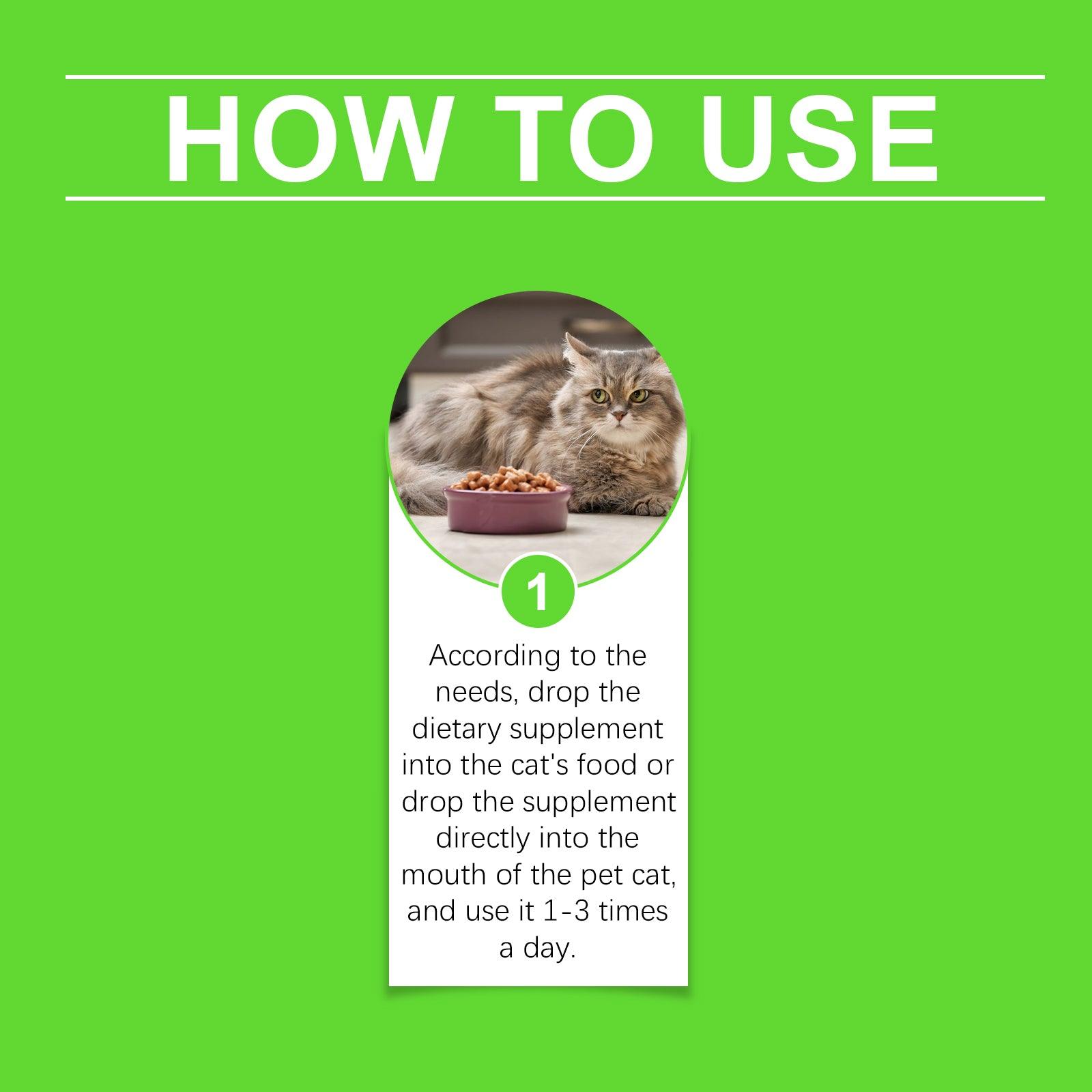 Cats With Probiotic Drops, Care For Cats Health And Vitality Care Absorb Nutritional Supplements