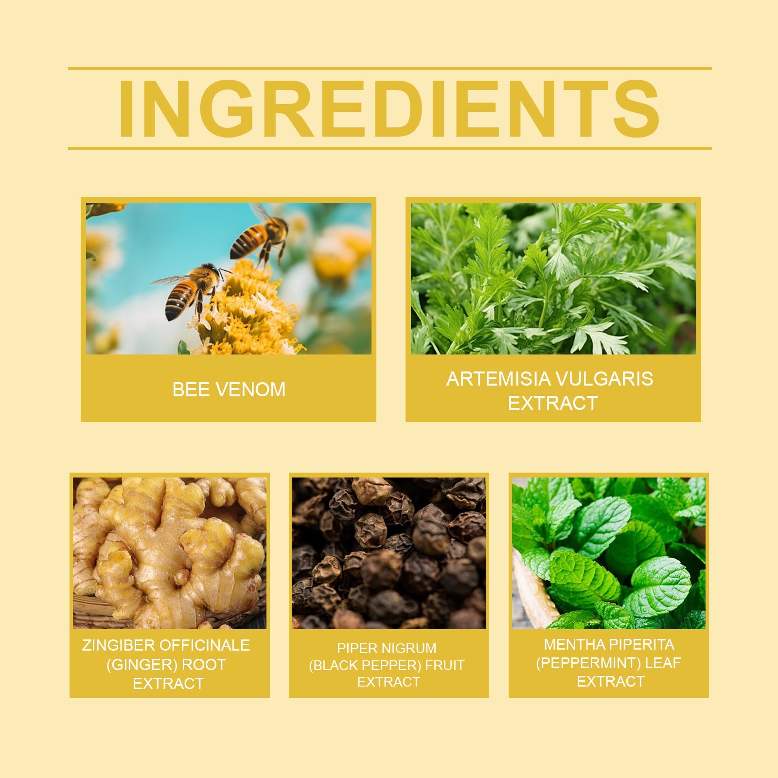 Beesvenom Slimming And Shaping Stick With Beesvenom Essence Body Care For Firming Skin Curves And Body Shaping Stick