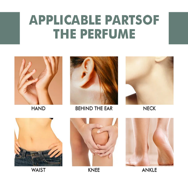 Rosemary Ginger Scent Experience Perfume, Natural Fragrance Behind The Ear And Wrist For Women