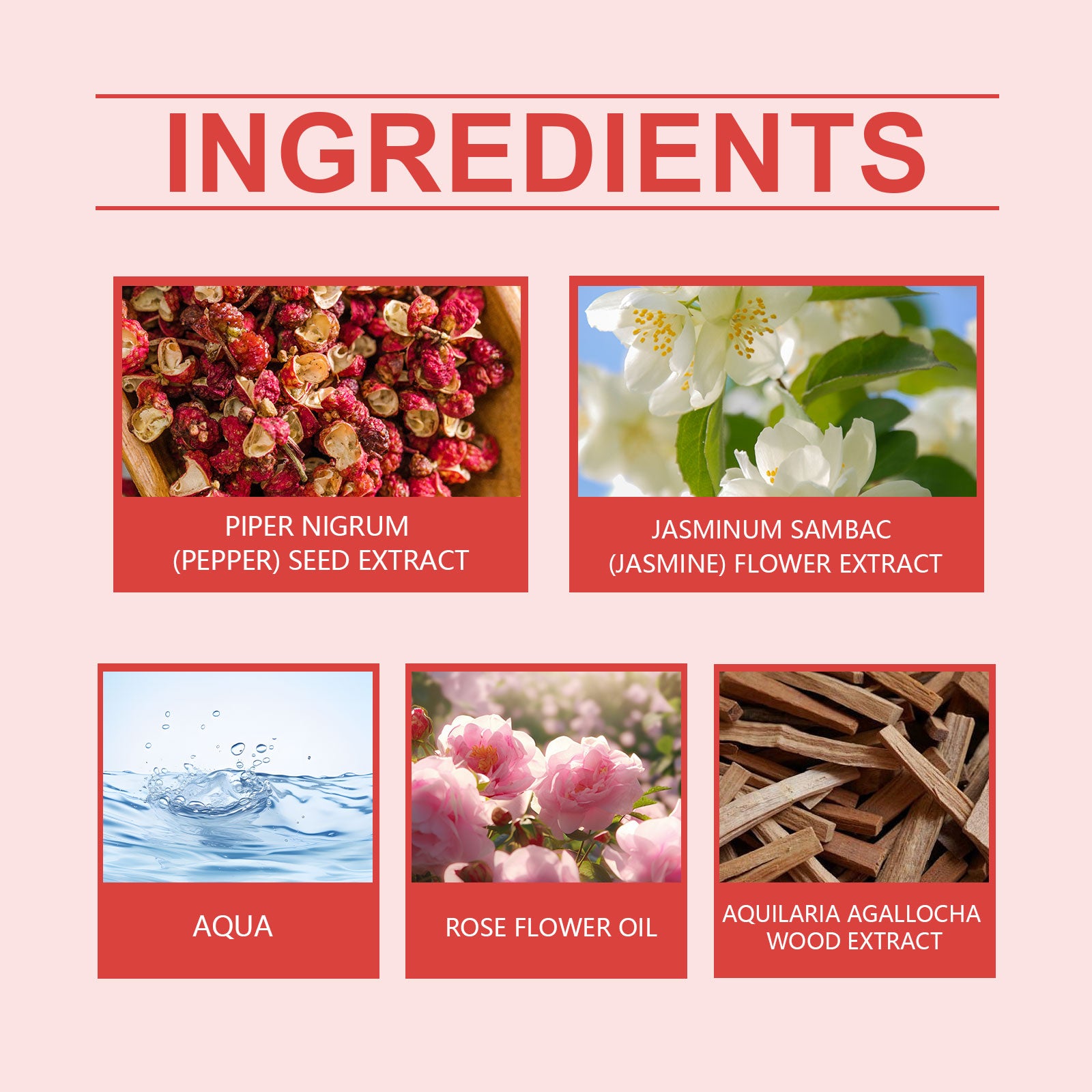 Spring Perfume Spicy Rose Fresh Natural Light Fragrance Portable Fragrance Exudes Personal Charm Perfume