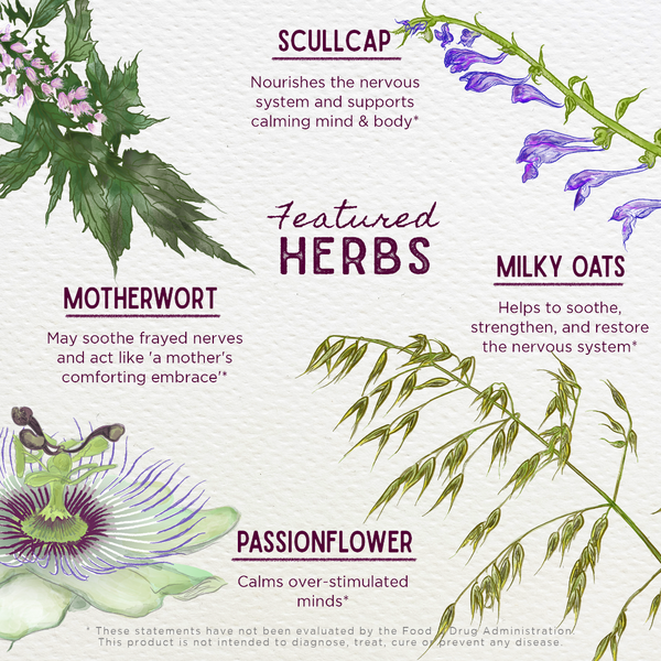 Illustration of various herbs with their names and benefits on a white background