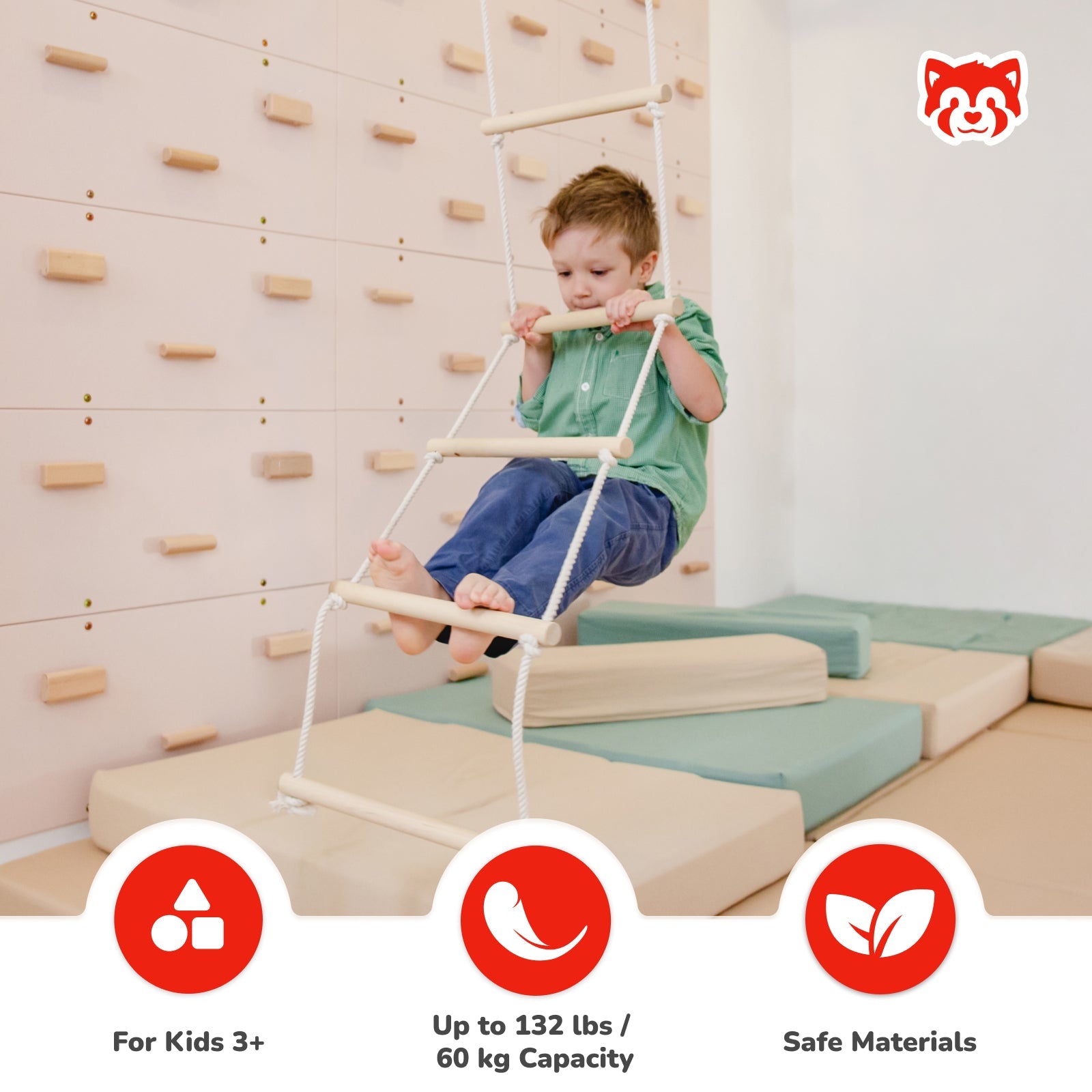 Ceiling Mounted Climbing Ladder