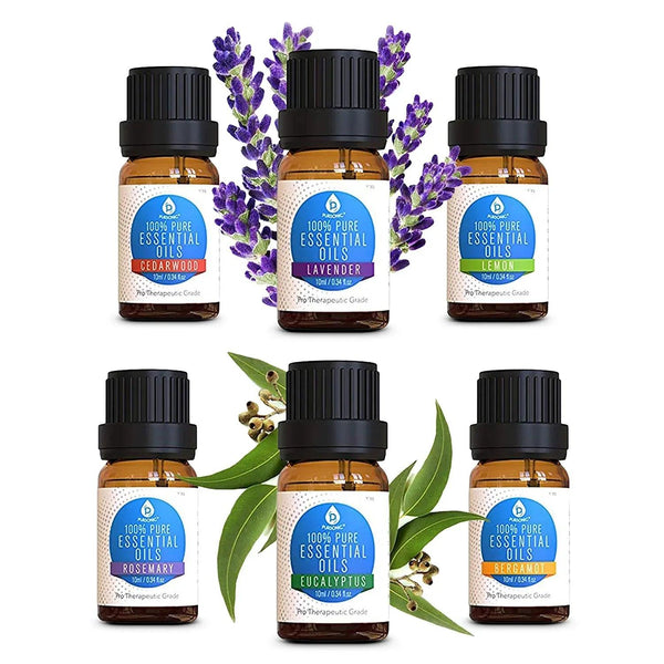6 Pack of 100% Pure Essential Aromatherapy Oils - Gifts for You 'n Me