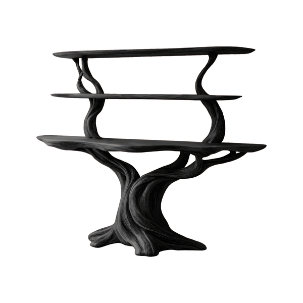 Elowen Sculpted Solid Wood Console Table with Shelves
