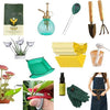 House Plant Starter Bundle