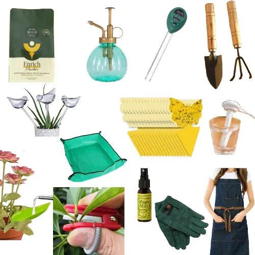 House Plant Starter Bundle - Gifts for You 'n Me