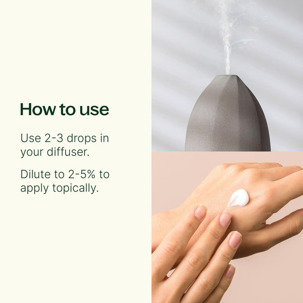 Eucalyptus Dives Essential Oil