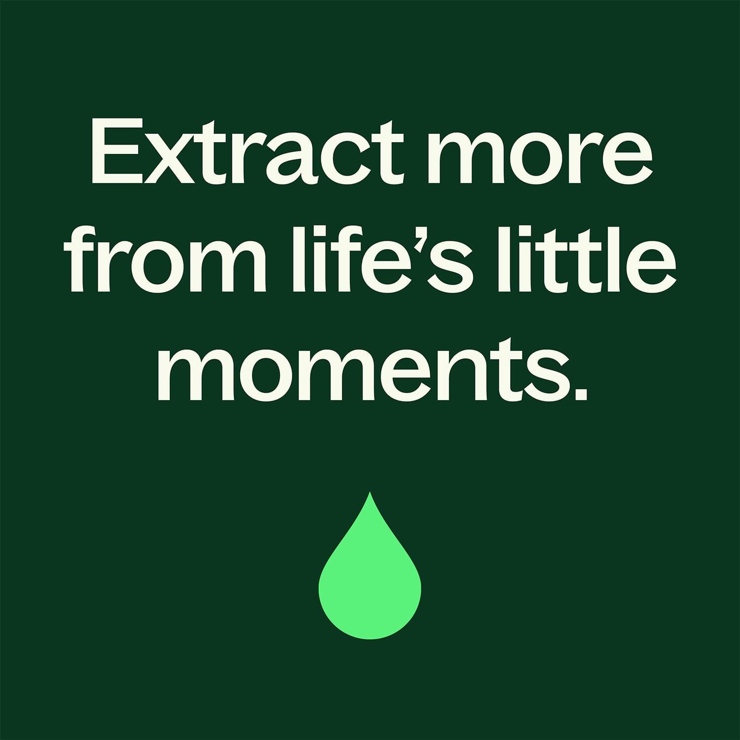 Eucalyptus Dives Essential Oil