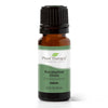 Eucalyptus Dives Essential Oil