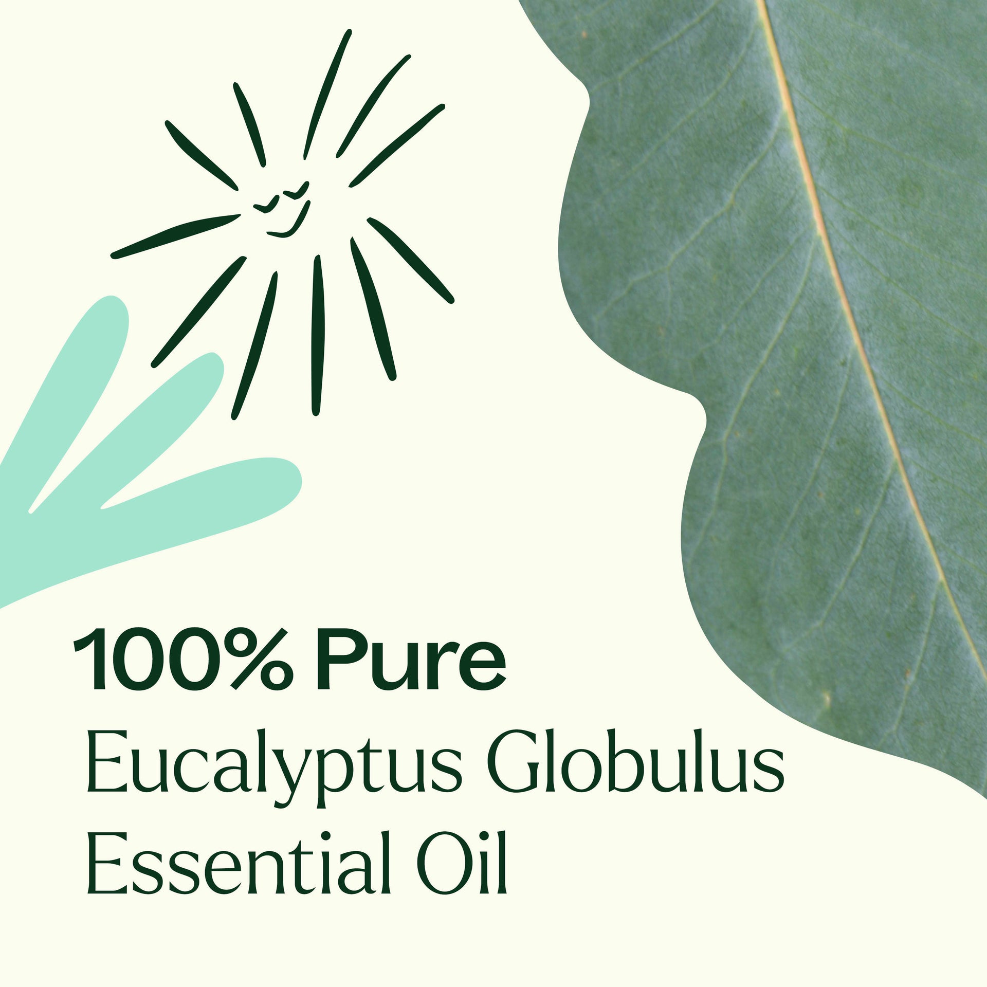 Eucalyptus Globulus Essential Oil Pre-Diluted Roll-On