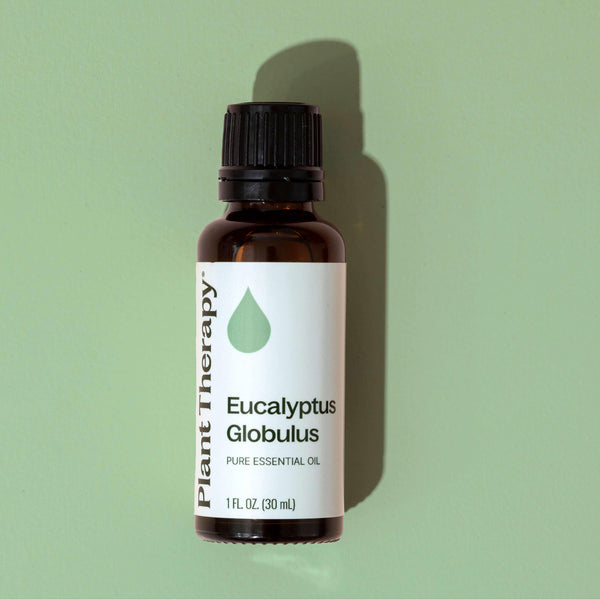 Eucalyptus Globulus Essential Oil
