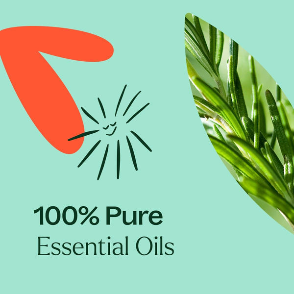 Eucalyptus Mint Essential Oil Blend