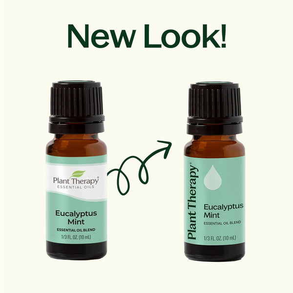 Eucalyptus Mint Essential Oil Blend