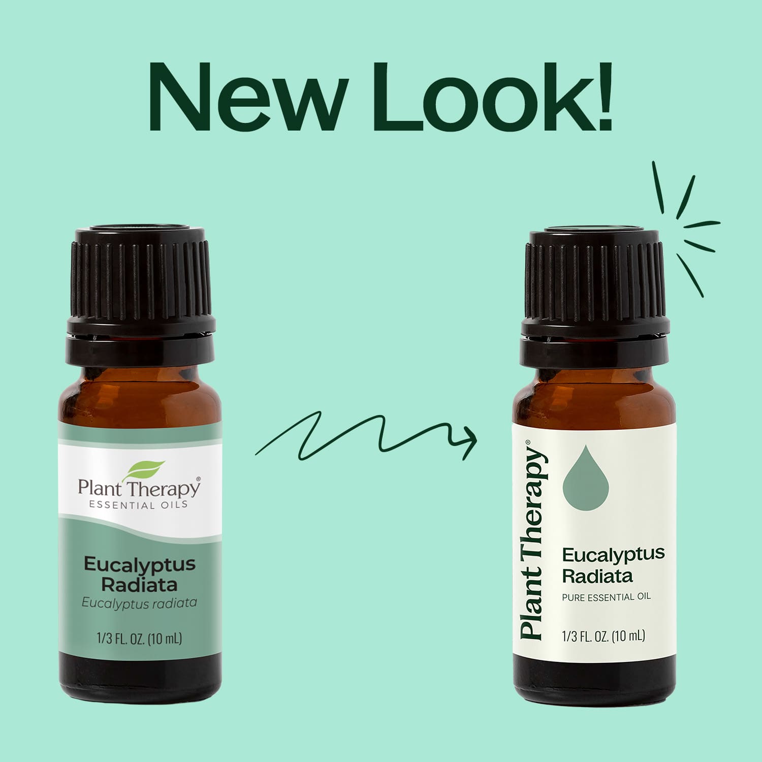 Eucalyptus Radiata Essential Oil