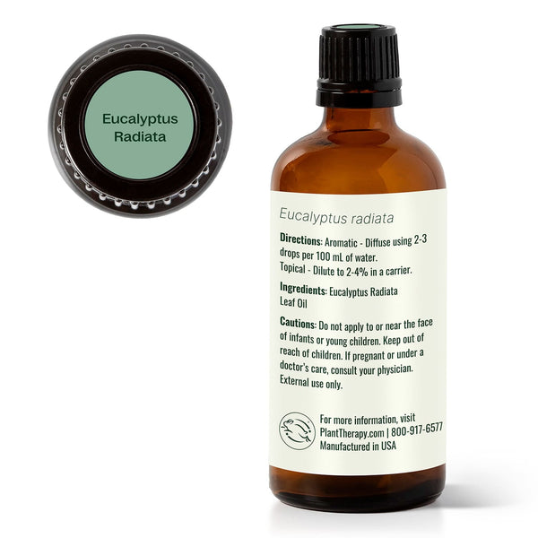 Eucalyptus Radiata Essential Oil
