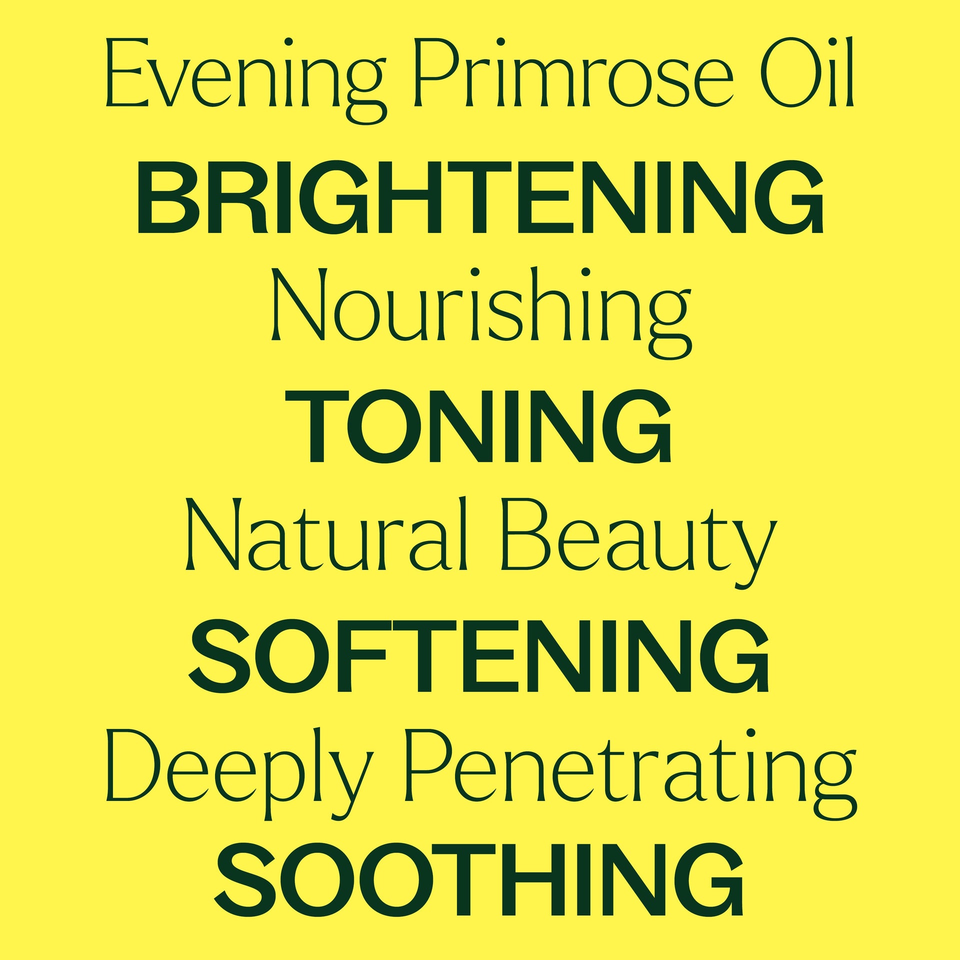 Evening Primrose Carrier Oil
