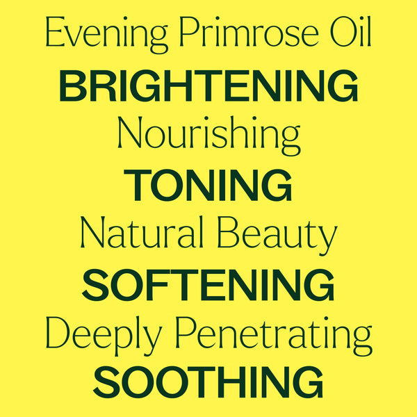 Evening Primrose Carrier Oil