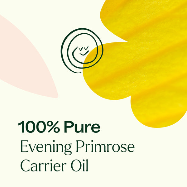 Evening Primrose Carrier Oil