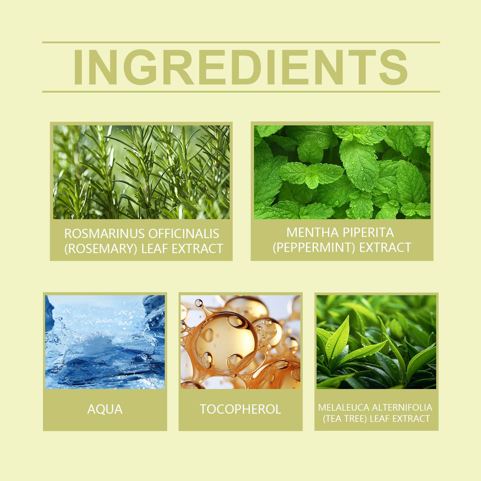 Rosemary Hair Care Spray Nourishes, Nurses, Softens And Leaves Fragrance, Strengthens And Restores Glossy Hair