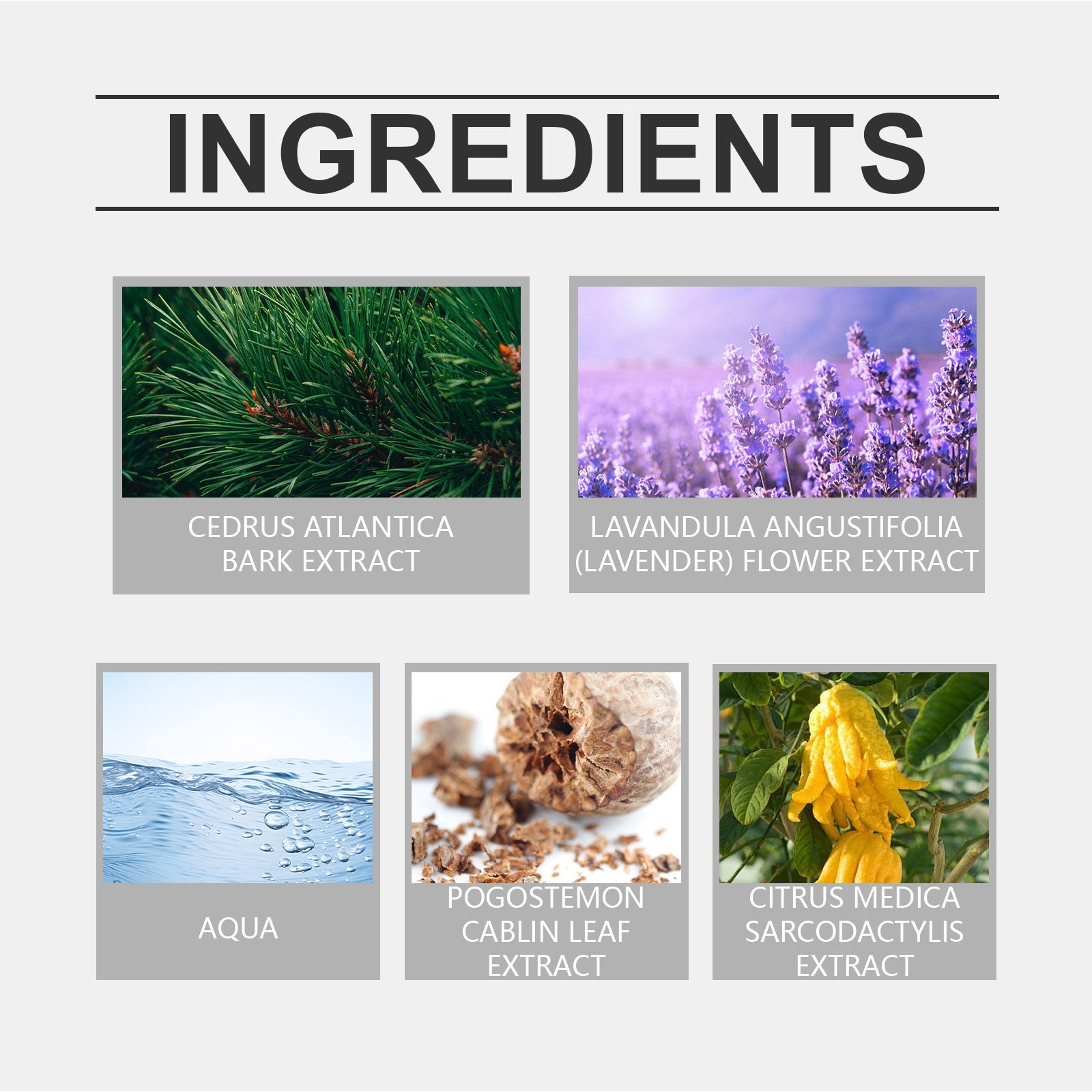 Eau De Toilette, Warm Wood Scent Charming Floral Fragrance Fresh Natural Fragrance Fragrance Lasting Fragrance