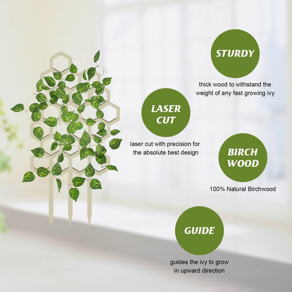 Garden Plant Trellis, Home Wooden Geometric Molding Decorative Support Flower Arrangements Climbing Pergola
