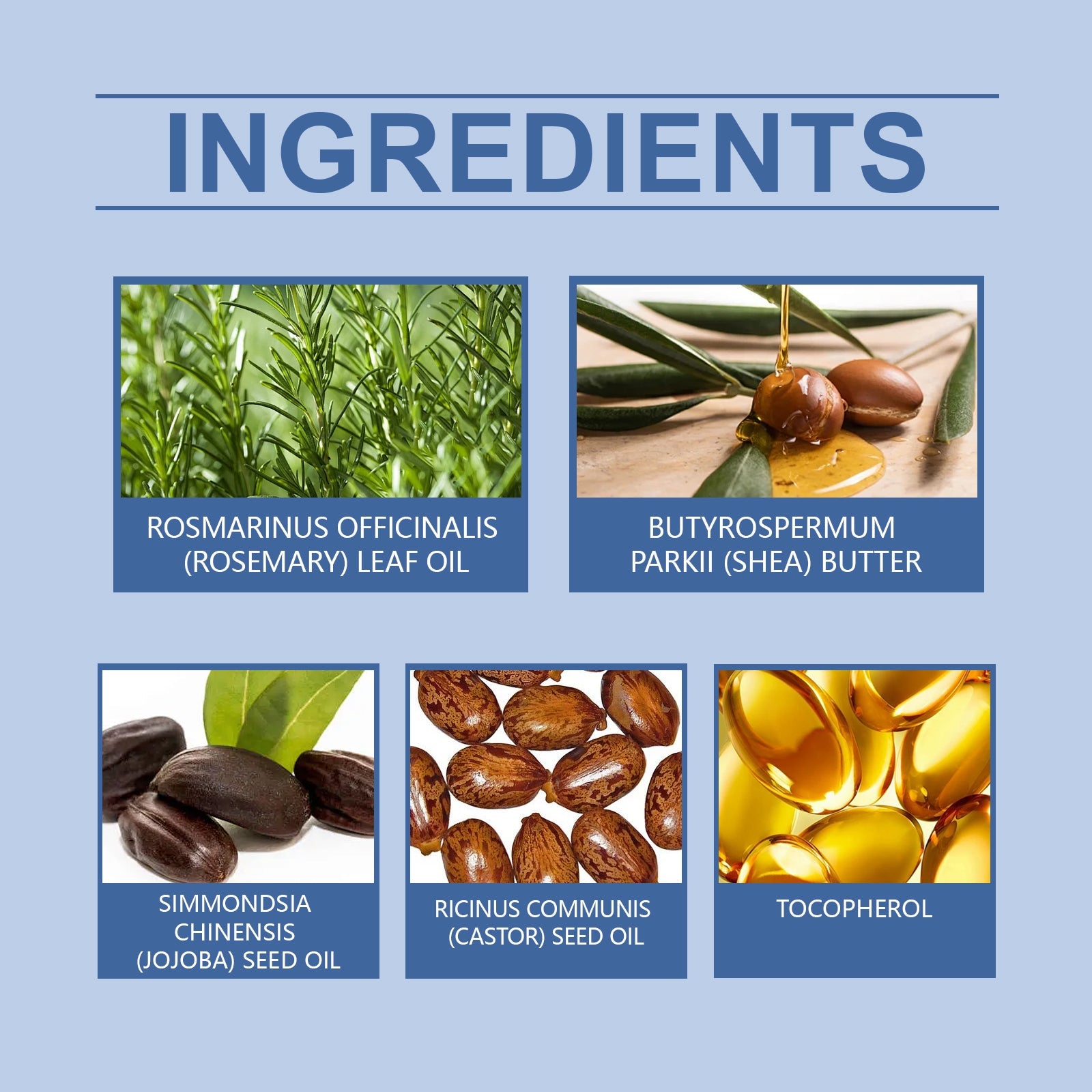 Rosemary Hair Care Oil Nourishes, Strengthens, Smoothes And Improves Scalp Massage Treatment Essence