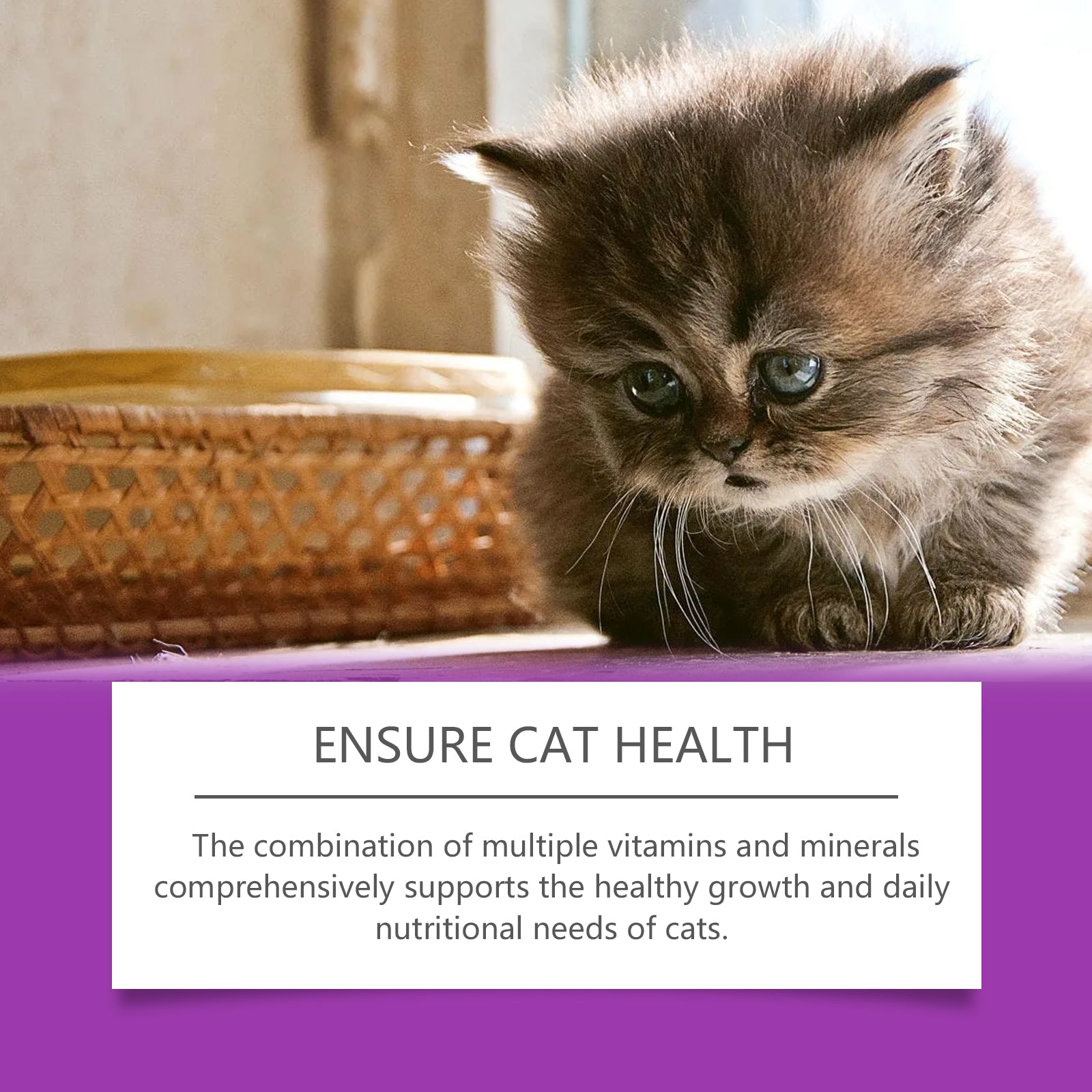 Pet Cat Vitamin Drops Care For Pets With Physical Discomfort Daily Care Vitamin Supplements