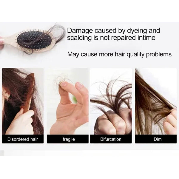 Rosemary Hair Care Nourish Hair Soft Fluffy Strong Moisturizing Root Hair Care Gift Set