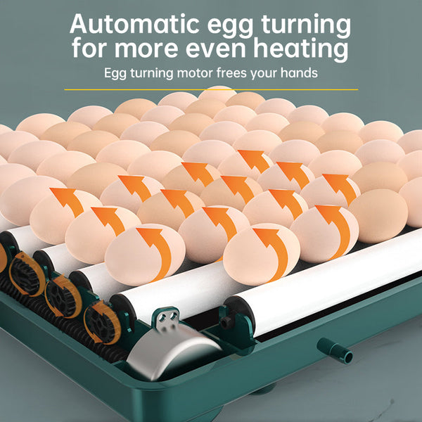 9 - 48 Egg Incubator: Automatic Egg - Turning & Humidity Monitoring. Duck Incubator with Auto - Water Ionic Waterbed