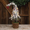 Small Curly Christmas Tree with LED Lights