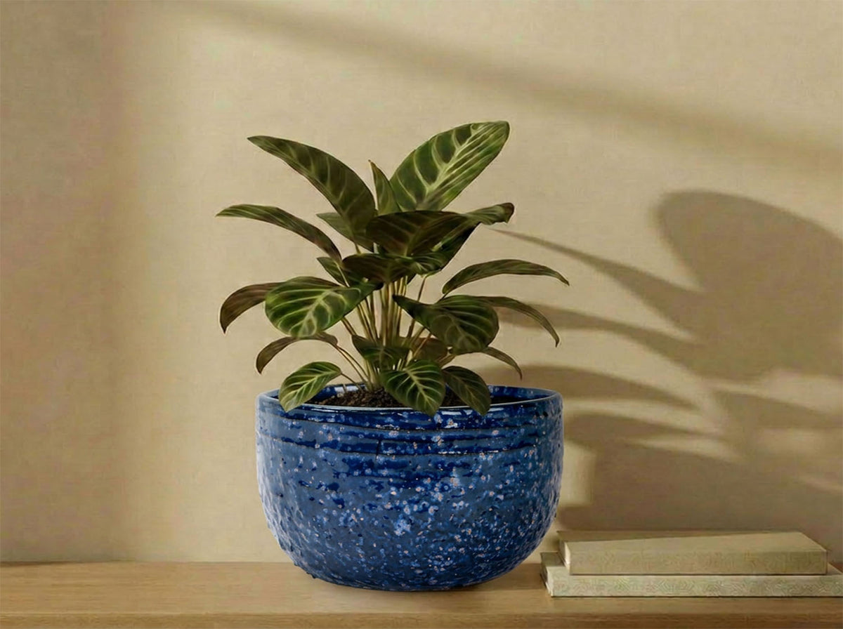 Pebble Beach Bowls