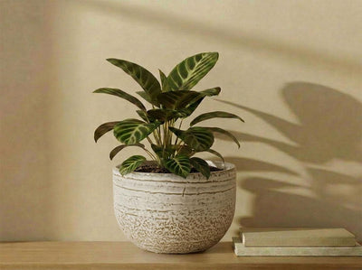 Pebble Beach Bowls