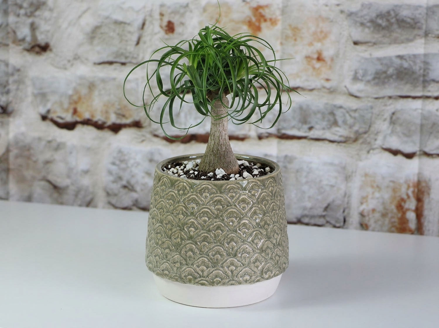 Petal Planter Cup