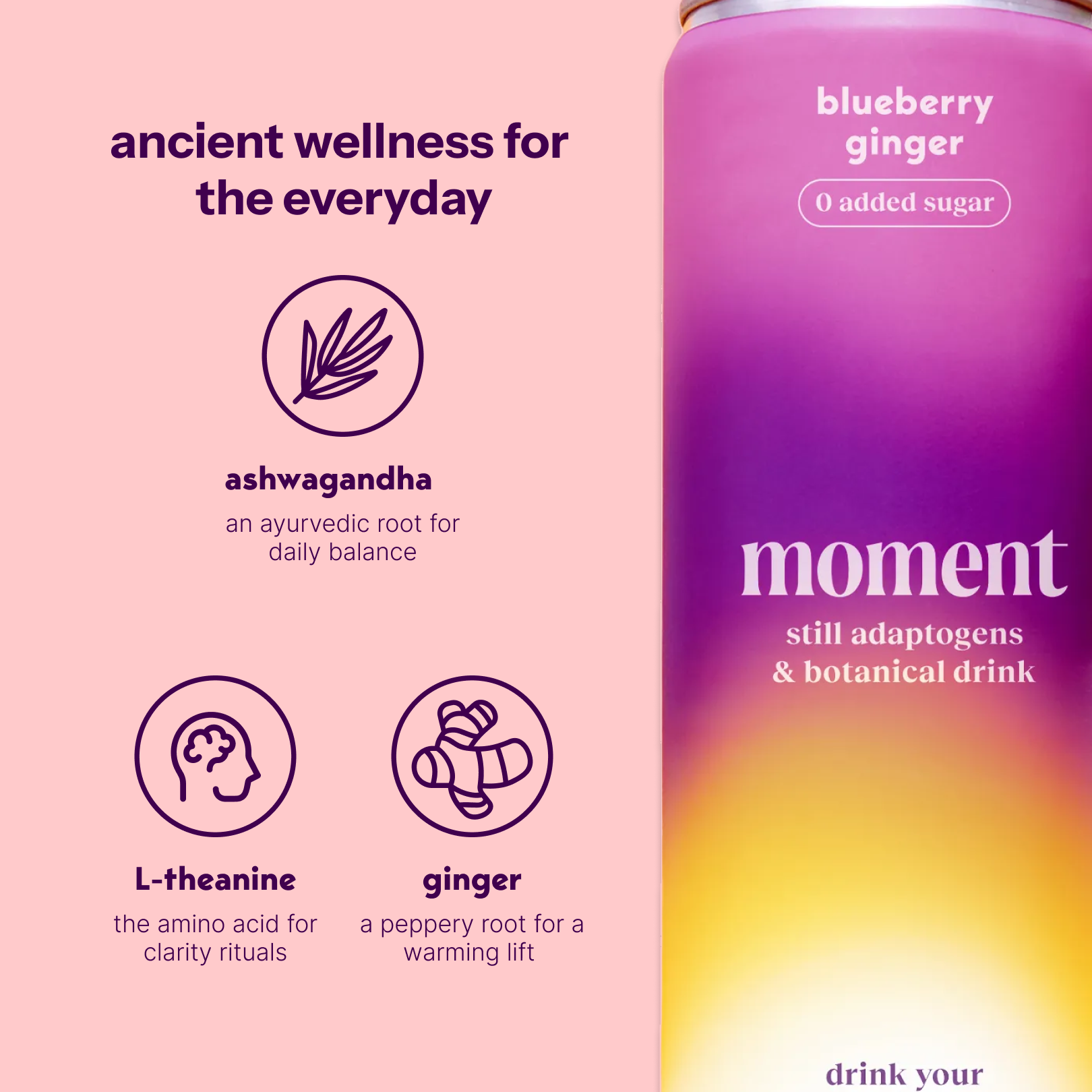 blueberry ginger (botanical tea | 12 pack)
