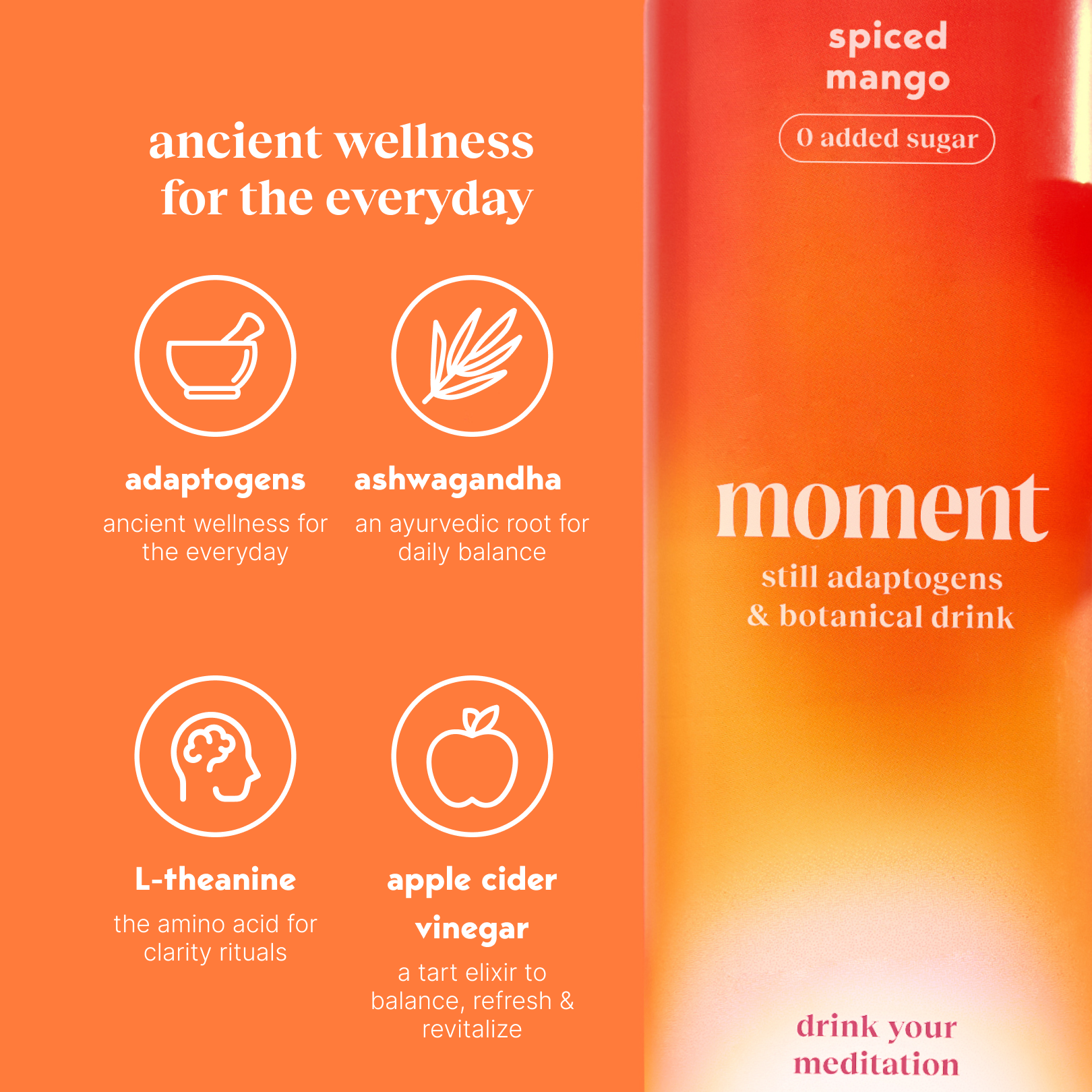 spiced mango (botanical tea | 24 pack)